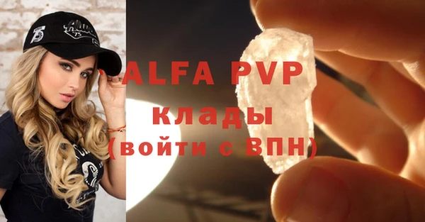 индика Армянск