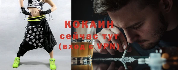 индика Армянск