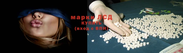 Альфа ПВП Аркадак