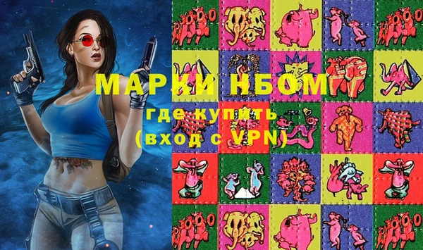 индика Армянск