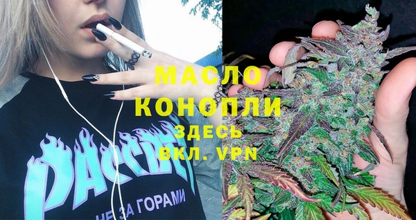 индика Армянск